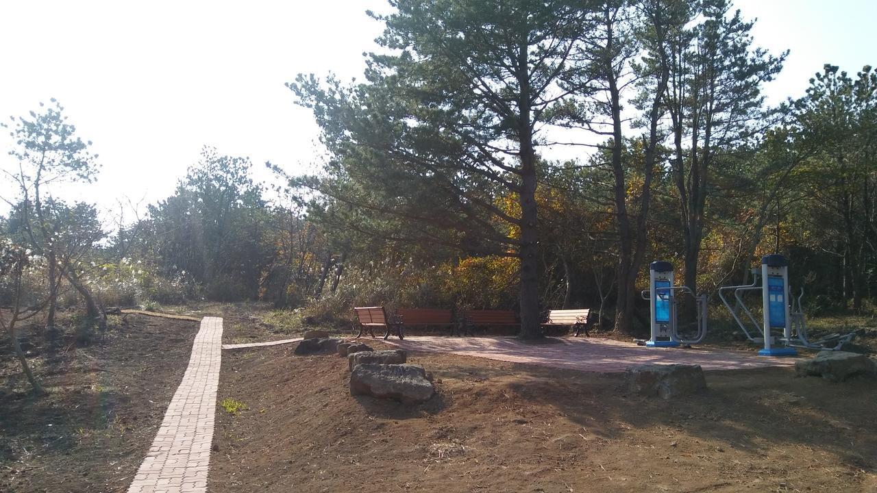 Jeju Youth Hostel Экстерьер фото